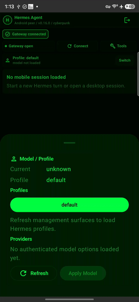 Hermes Agent Mobile Companion live demo